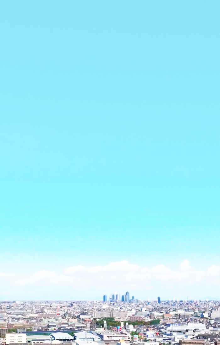 空撮した街並み